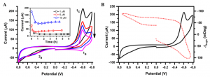 Fig 3 DNR incubation with HepG2