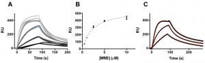 protein-interactions-in-the-mycofactocin-biosynthetic-pathway-fig2